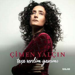 Album cover of Taşa Verdim Yanımı