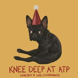 Album cover of Knee Deep at ATP