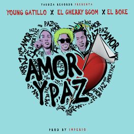 Album cover of Amor y Paz