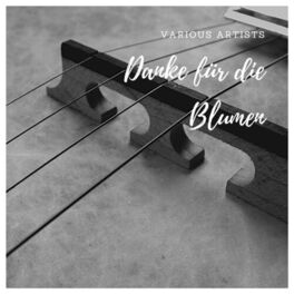 Album cover of Danke für die Blumen