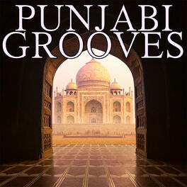 Album cover of Punjabi Grooves