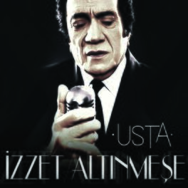 Album cover of Usta