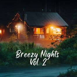 Album cover of Breezy Nights Vol. 2