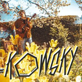 Album cover of Krokus Pokus