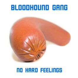 Album cover of No Hard Feelings