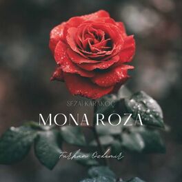 Album cover of Mona Roza (Old Record)