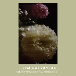 Album cover of Terminar Juntos