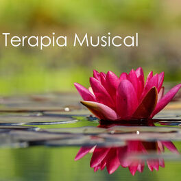 Album cover of Terapia Musical - Música de Fundo com Sons da Natureza, Músicas Instrumentais Calmantes