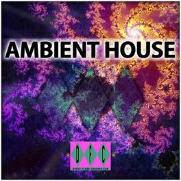 Album cover of The Original Ambient House Experience