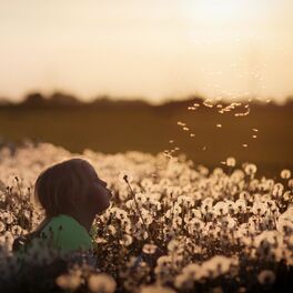 Album cover of Flowers