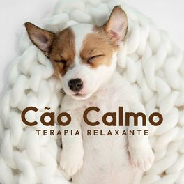Album cover of Cão Calmo (Terapia Relaxante para Animais de Estimação, Reduz o Estresse, Amigo Peludo)