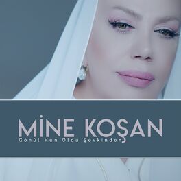 Album cover of Gönül Hun Oldu Şevkinden