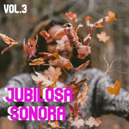 Album cover of Jubilosa Sonora Vol. 3