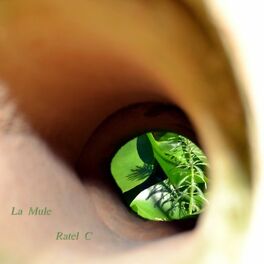 Album cover of La Mule