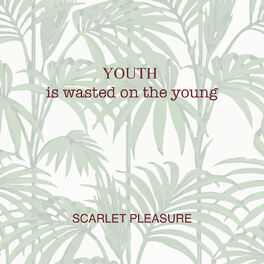 Album cover of Youth Is Wasted On The Young