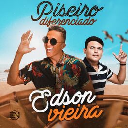 Album cover of Piseiro Diferenciado