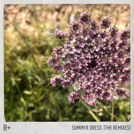 Album cover of Summer Dress (Remixes)
