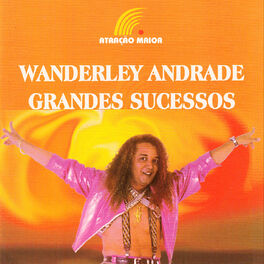 Album cover of Grandes Sucessos