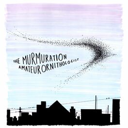 Album cover of The Murmuration