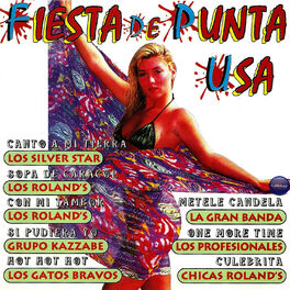 Album cover of Fiesta de Punta USA