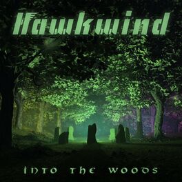 Album cover of Into the Woods