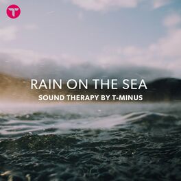 Album cover of Rain on the Sea