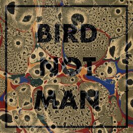 Album cover of Bird Not Man