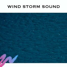 Album cover of Wind Storm Sound