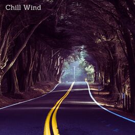 Album cover of Chill Wind