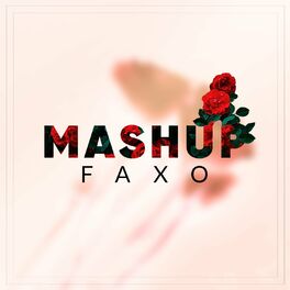 Album cover of Mashup