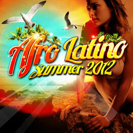 Album cover of Afro Latino Summer 2012