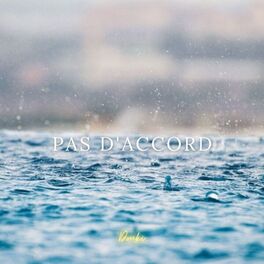 Album cover of Pas d'accord