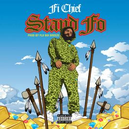 Album cover of Stand Fo