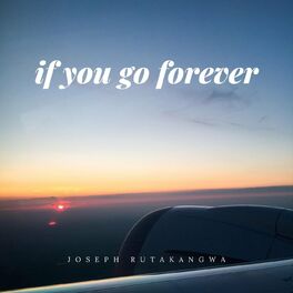 Album cover of If You Go Forever