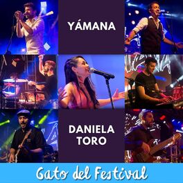 Album cover of Gato del Festival