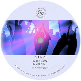 Album cover of The Game / Like You