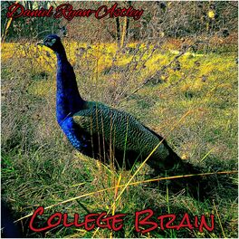 Album cover of College Brain