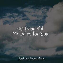 Album cover of 40 Peaceful Melodies for Spa