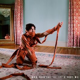 Album cover of It's Not Me