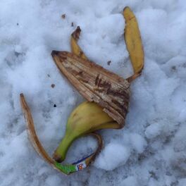 Album cover of Fruit in Snow (not so Short Music Vol I)