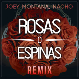 Album cover of Rosas O Espinas (Remix)