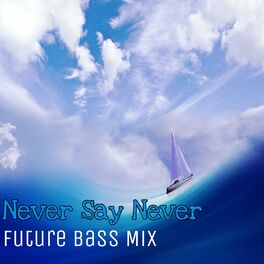 Album cover of Never Say Never