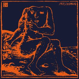 Album cover of Prosthuman