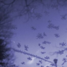 Album cover of Thaw