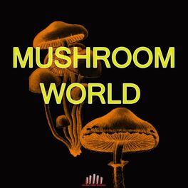 Album cover of Mushroom World