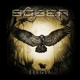 Album cover of ELEGÍA