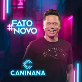 Album cover of Fato Novo