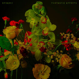 Album cover of Fantastic Effects