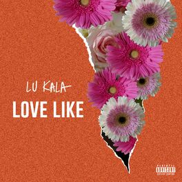 Album cover of Love Like