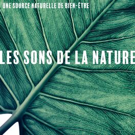Album cover of Une source naturelle de bien-être: Les sons de la nature. Musique de spa et de bien-être